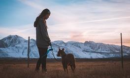 属狗人的风水知识