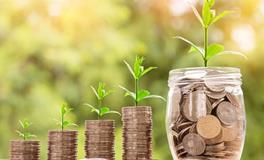 生肖鸡的理财投资忌讳