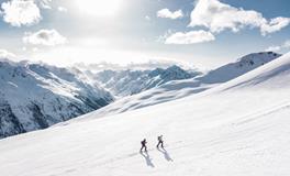 属狗的历史名人有哪些