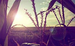 qq群名字，qq群名字两个字的