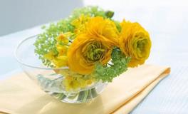 董易林2018年11月23日生肖运势