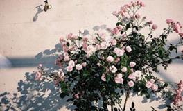 双子座的第一印象