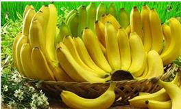 双子座的幸运水果