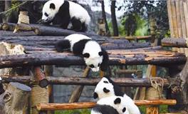 元旦适合去哪里，元旦3天适合去哪里