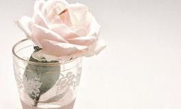 元旦祝福笑话精选，元旦祝福笑话欣赏