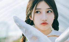 塔罗测试：你的网络桃花源如何