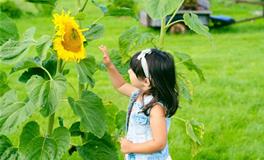 2019年好听又有内涵的女宝宝名字大全