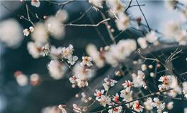 腊月二十三，腊月二十三的民俗有哪些