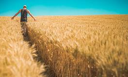 属兔男2019年每月运势