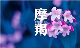 摩羯座2019年2月桃花运