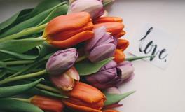 宝宝名字打分2020免费