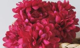 董易林2019年3月10日生肖运势