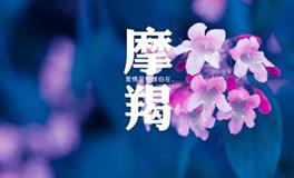 摩羯座面对暧昧时的表现