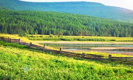 清明气候特点，清明有什么气候特点呢