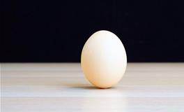 春分竖蛋，春分竖蛋的原理是什么