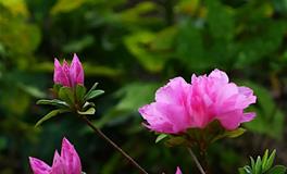 春分的习俗，春分的来历