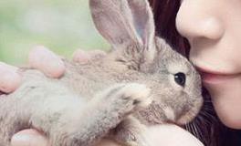 塔罗测试：你的梦给你传递了什么？