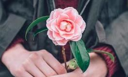 塔罗测试：最近你的直觉会揭露什么真相？