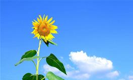 qq分组大全2019最新版