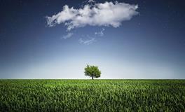 梅花易数的起源