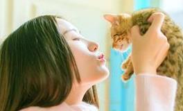 克服性格不足！十二星座如何取得事业成功