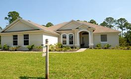 院落植物风水禁忌