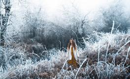 属虎人的爱情方位