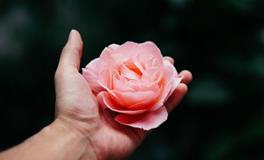 易鑫2019年4月26日生肖运势