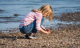 属牛人2019年的吉利和不利方位