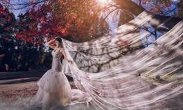 属猴本命年结婚好不好