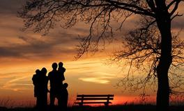 孕妇梦见龙在天上飞