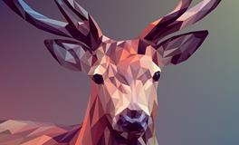 孕妇梦见鹿是什么意思