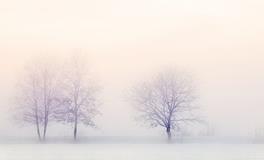 孕妇梦到雪是什么意思