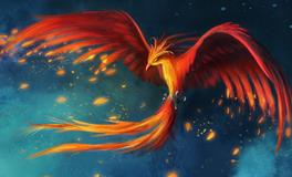 梦见凤凰飞到自己身边