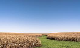 梦见一个土坟堆