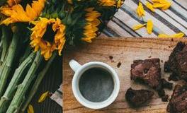 郑博士2019年5月20日生肖运势