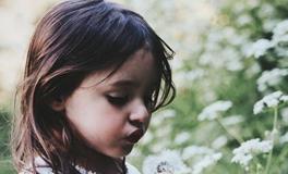 郑博士2019年5月22日生肖运势