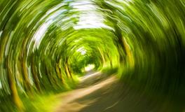 梦见儿子呕吐晕倒