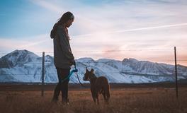 梦见狗啃骨头是什么意思