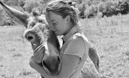 做梦梦见驴咬人