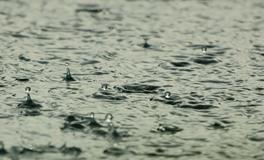 梦见下雨女孩掉进沼泽里