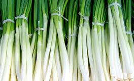 梦见大葱的寓意