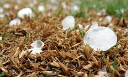 做梦梦见下冰雹