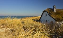 梦见盖房子装饰房子