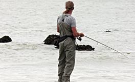 梦见在河边抓鱼被水草缠住