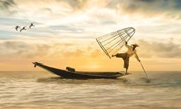 孕妇梦见捉到好多鱼