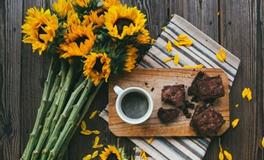 郑博士2019年7月22日生肖运势