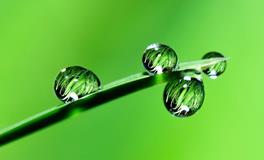 梦见下雨漏水到床上