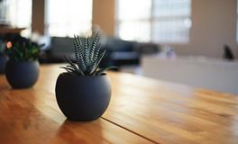 梦见别人送了很多花草到家