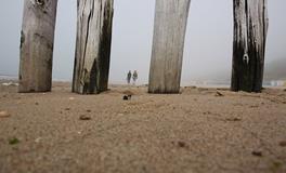 梦见怀孕被打是什么意思